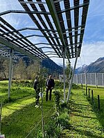 csm_vorstellung_hilbersolar_02-bild-da_415fe4bbc1.jpg
